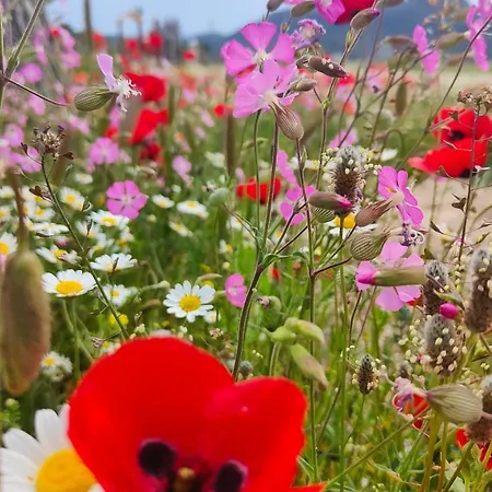 Apartamento Pearl Toroni