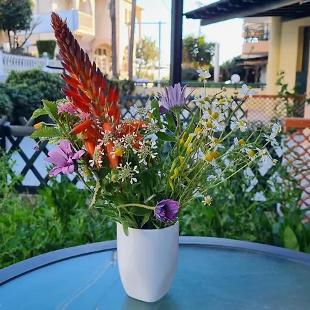 Pearl Apartamento Toroni