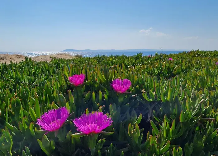 Pearl Apartamento Toroni