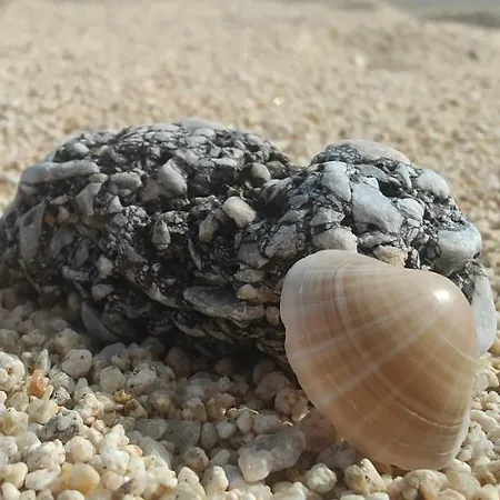 Apartmán Pearl Toroni