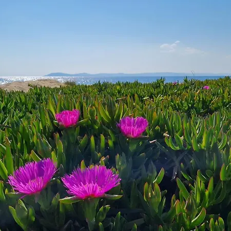 Pearl Apartmán Toroni