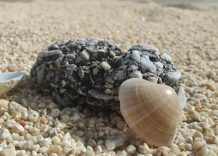 Apartament Pearl Torone