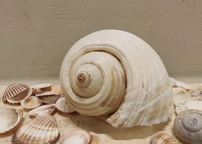 Pearl *